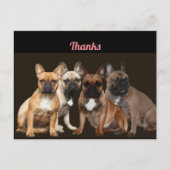 Merci Carte postale Bouledogue Français (Devant)