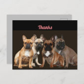 Merci carte postale de Bouledogue Français (Devant / Derrière)