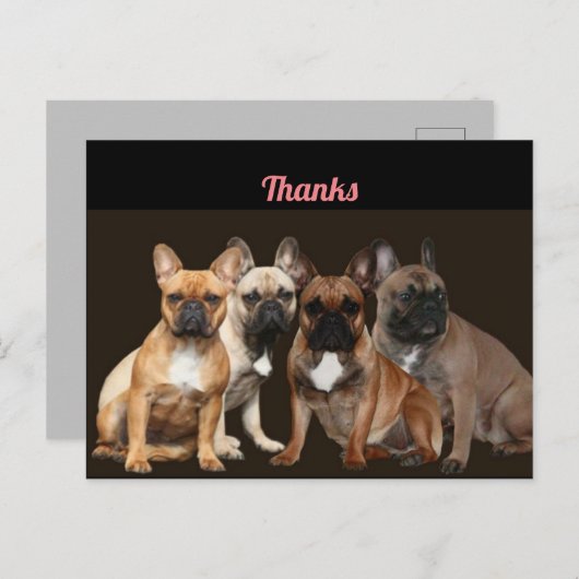 Merci Carte postale de Bouledogue Français (Devant / Derrière)