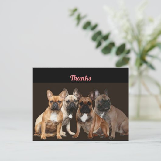 Merci carte postale de Bouledogue Français (Debout devant)