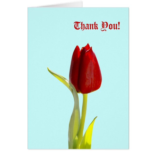 Merci! Cartes (Devant)