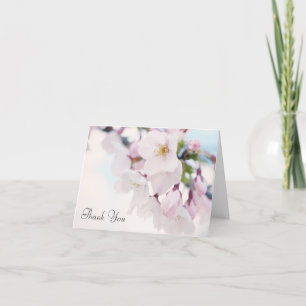 Merci cerise en fleurs