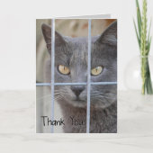 Merci ! Chat (Devant)