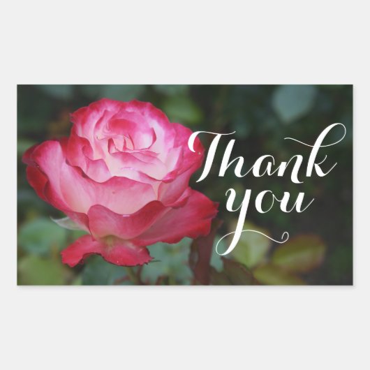 Merci Cherry Parfait Rose #3 Stickers (Devant)