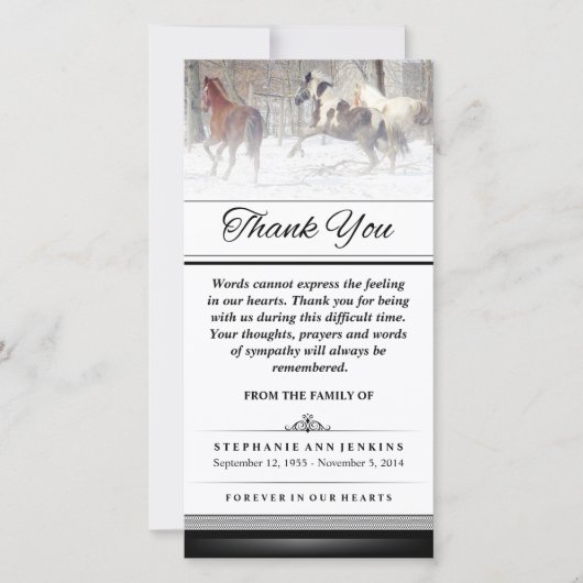 Merci - Chevaux d'hiver - Les mots ne peuvent pas  (Devant)