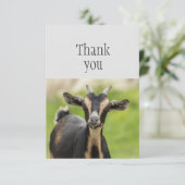 Merci Chèvre Mignonne Animal de Ferme  (Debout devant)