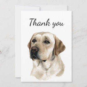 Merci Chien Animal De Compagnie Labrador Retriever