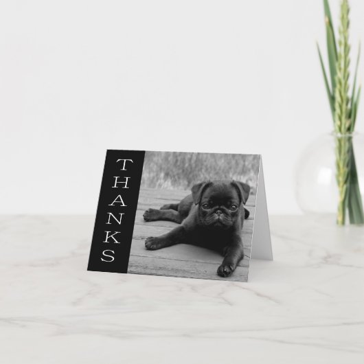 Merci Chien Chien Chien Chien Noir et Blanc Carte  (Devant)