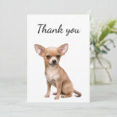 Merci Chihuahua Chien Animal animal de compagnie (Debout devant)