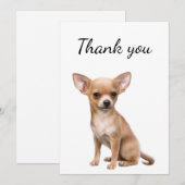 Merci Chihuahua Chien Animal animal de compagnie (Devant / Derrière)