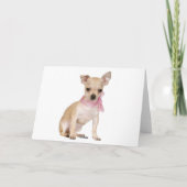 Merci Chihuahua Puppy Dog (Dos)