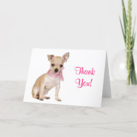 Merci Chihuahua Puppy Dog