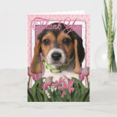 Merci - Chiot Beagle (Devant)