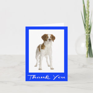 Merci Chiots de Chien Brittany Spaniel Canine
