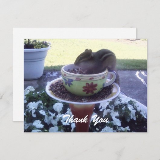 "Merci" Chippy la carte postale Chipmunk (Devant / Derrière)