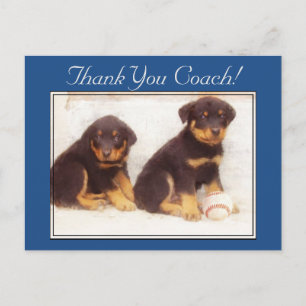 Merci Coach Rottweiler chiots carte postale