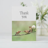 Merci Cute Bird Parent Bébés Oiseaux (Debout devant)