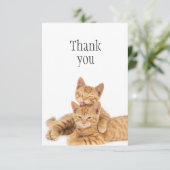 Merci Cute Orange Tabby Chat Kittens (Debout devant)