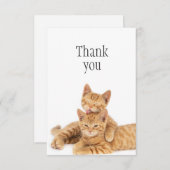 Merci Cute Orange Tabby Chat Kittens (Devant / Derrière)