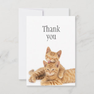 Merci Cute Orange Tabby Chat Kittens