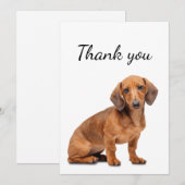 Merci Dachshund Chien Animal animal de compagnie (Devant / Derrière)