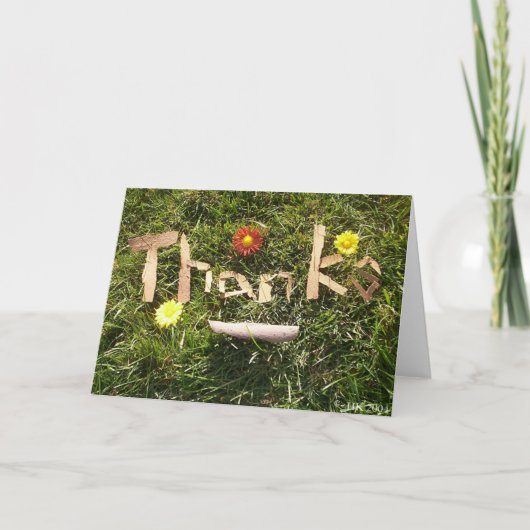 Merci dans l'écorce (Devant)