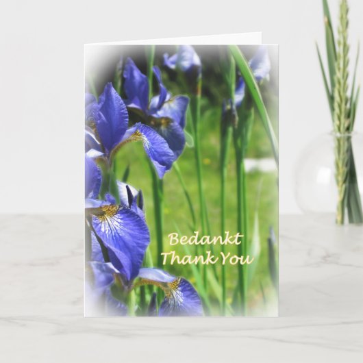 Merci dans néerlandais et anglais (Devant)