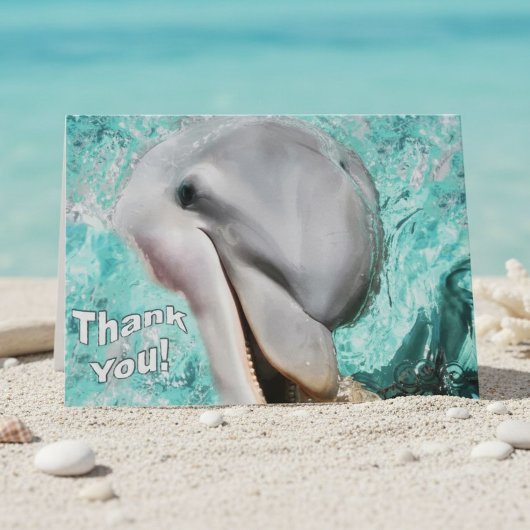 Merci Dauphin Vie marine côtière