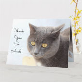 Merci de carte de chat tellement (Fleur jaune)