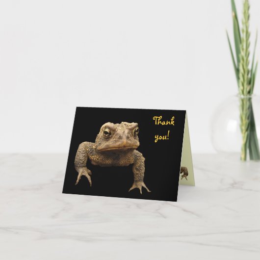 Merci de crapaud américain (Devant)