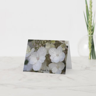 Merci de fleurs d'Hydrangea
