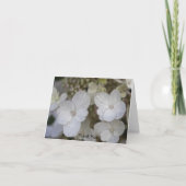 Merci de fleurs d'Hydrangea (Devant)