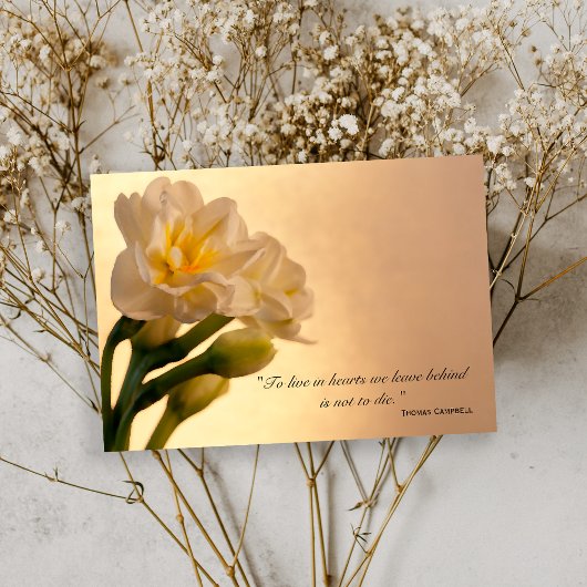 Merci de jonquilles blanches pour votre sympathie