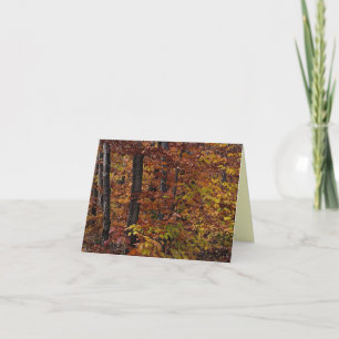Merci de la forêt de hêtres