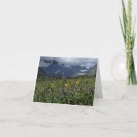Merci De La Sympathie, Fleurs sauvages De Montagne
