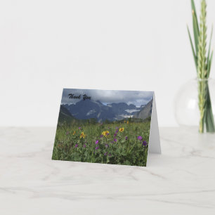 Merci De La Sympathie, Fleurs sauvages De Montagne