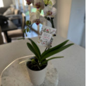 Merci de m'aider à devenir enseignant / Cadeau de 