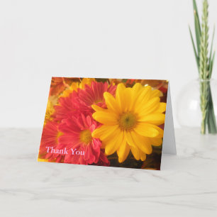 Merci de marguerites rose et jaune