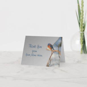 Merci de nature d'oiseau d'oiseau bleu d'hiver