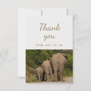 Merci de nous tous Eléphants Animaux Amusants