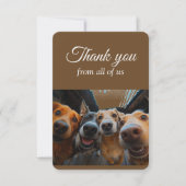 Merci De Nous Tous Groupe Fun Dogs Animaux Animaux (Devant)