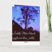 Merci de nuit enchanté (Dos)