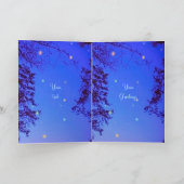 Merci de nuit enchanté (Intérieur)