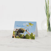 Merci de pays de vin (Devant)