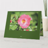 Merci de rose rose sassy (Dos)