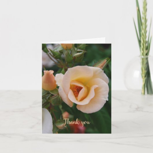 Merci de sympathie de la famille (Devant)