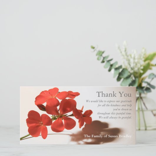 Merci de sypathie Geranium 2 assorti (Debout devant)