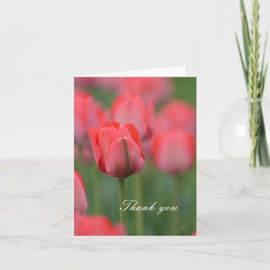 Merci de tulipes roses (Devant)