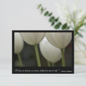 Merci des Tulipes blanches pour votre sympathie (Debout devant)