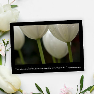 Merci des Tulipes blanches pour votre sympathie
